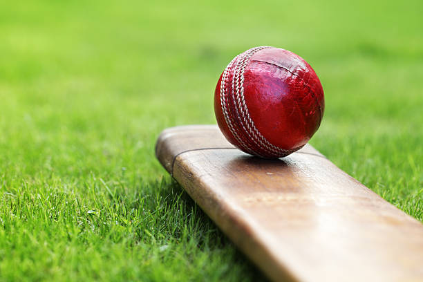 School-level cricket tournament to take place in Kailali