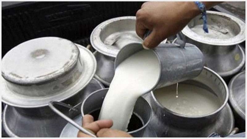 Farmers of Chitawan demanded rise in the milk price