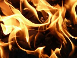 Huge property gutted in Damak fire