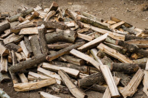 Firewood distributed for bone-chilling cold affected people