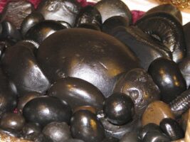 Shaligram from Kaligandaki river handed over to make Ram’s idol in Ayodhya