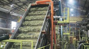 Dust from sugar industry creating health hazard