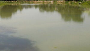 Bio-diversity conservation ponds constructed inside community forests