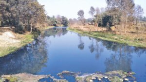 Govt. to support to control pollution in Sirsiya river