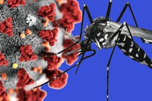 One infected with COVID-19, dengue dies in Seti Hospital