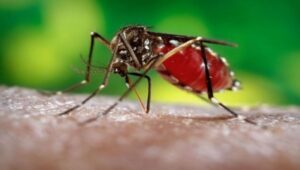 Sri Lanka steps up precautionary measures to control dengue