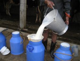 World Milk Day, 2023 being observed