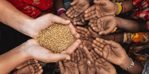 Food insecurity, undernourishment deepen in South Asia: Report