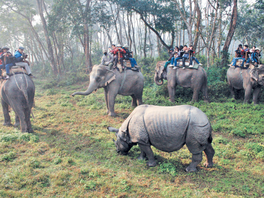 Tourists’ arrival in off-season elates tourism entrepreneurs in Sauraha