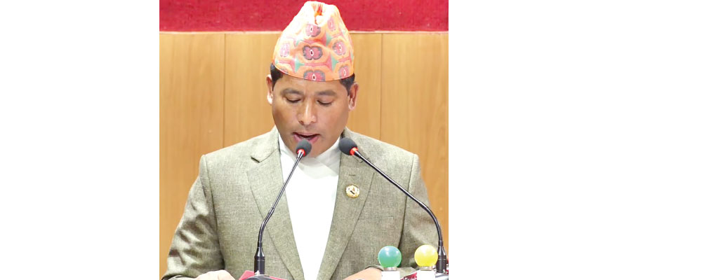 Minister Singh directs office chiefs for budget implementation