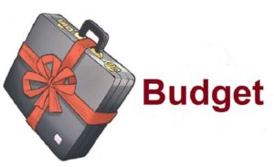Experts suggest to bring implementable budget