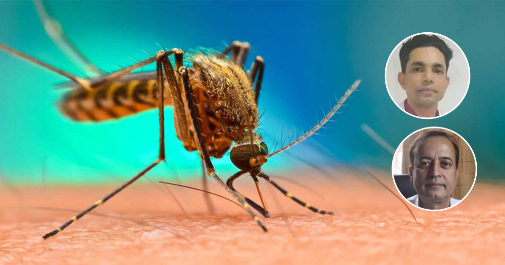 Experts suggest not to let dengue spread