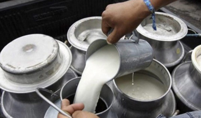 Municipality provides grant to farmers for milk production