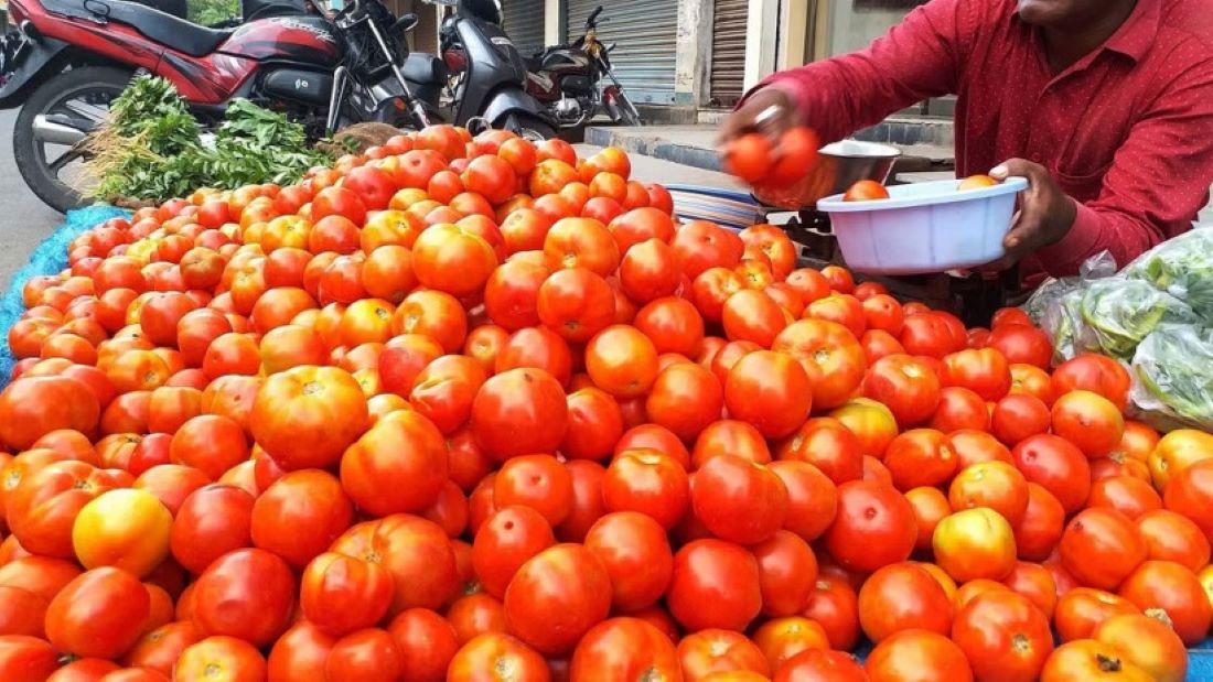 Price of tomatoes goes down