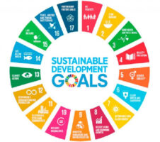 16th Periodic Plan to have dedicated chapter for SDGs