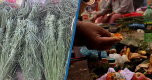 Kushe Aunshi, Father’s Day being observed today