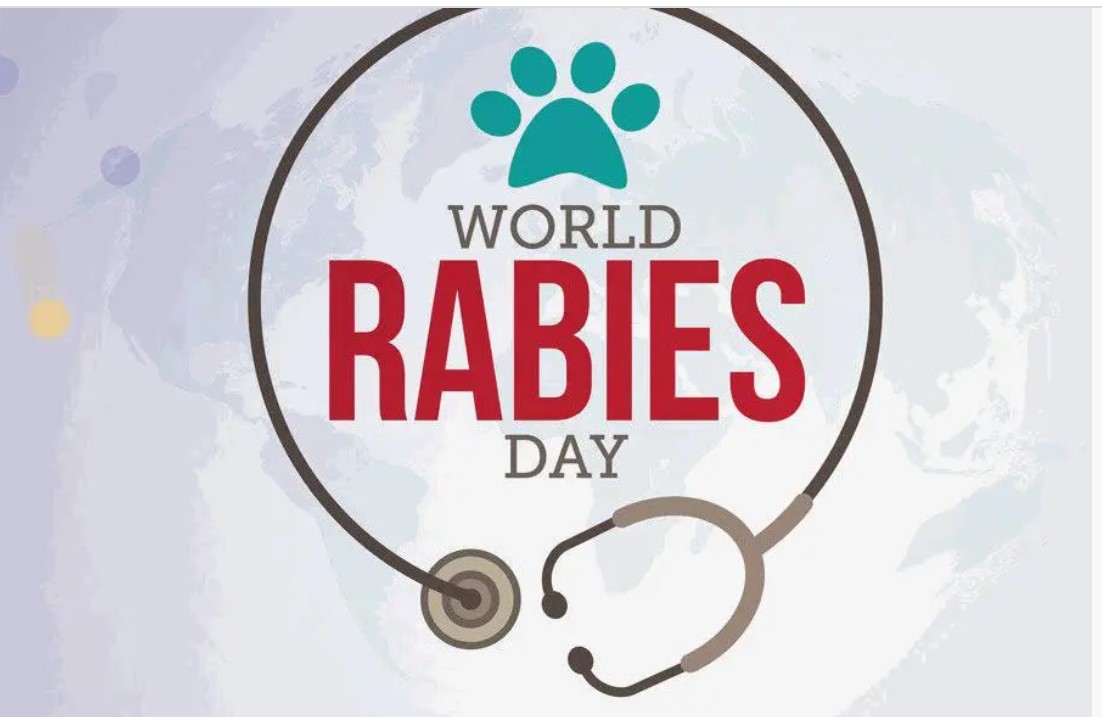 World Rabies Day being observed organising various programmes