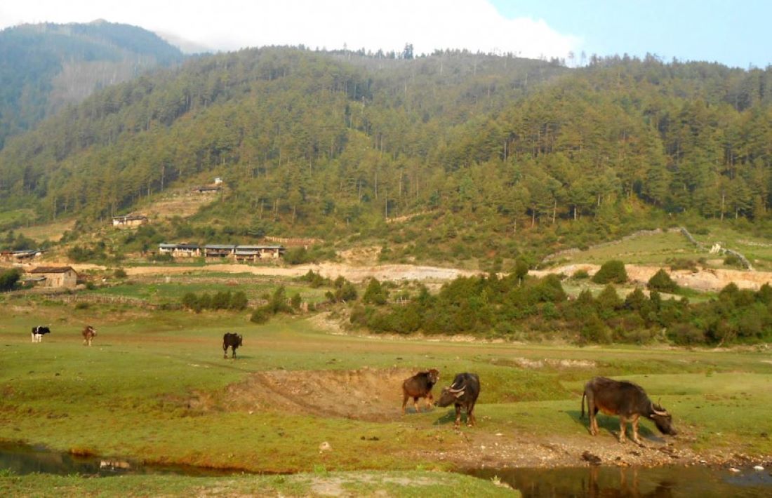 Hunters arriving in Dhorpatan as hunting opens for this season