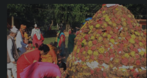 Goru, Govardhan Puja being observed on fourth day of Tihar