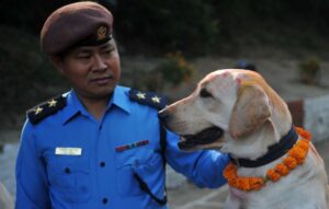 Nepal Police offers retired dogs for adoption to the public