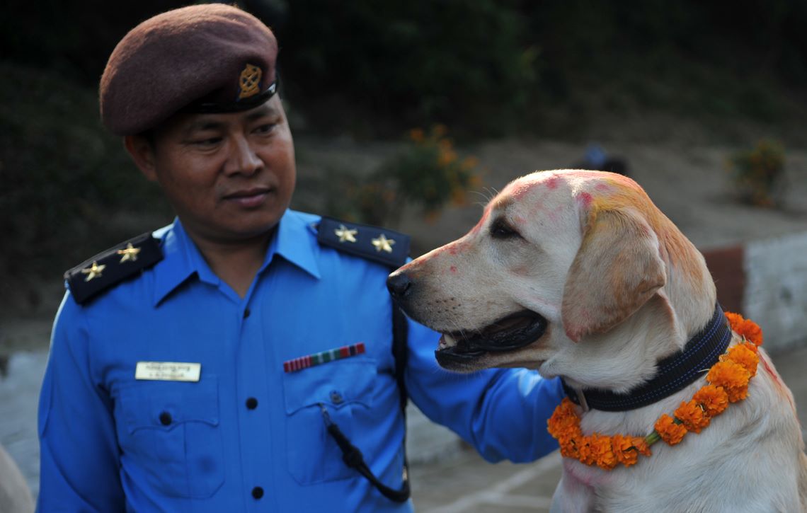 Nepal Police offers retired dogs for adoption to the public