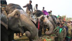 17th Chitwan Elephant and Tourism Festival from Dec 26