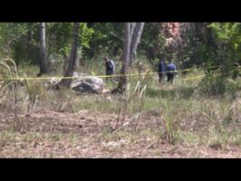 Two members of a family found dead in forest