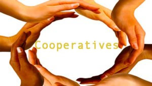 Stakeholders call for resolution of problems of victims of cooperatives, microfinances