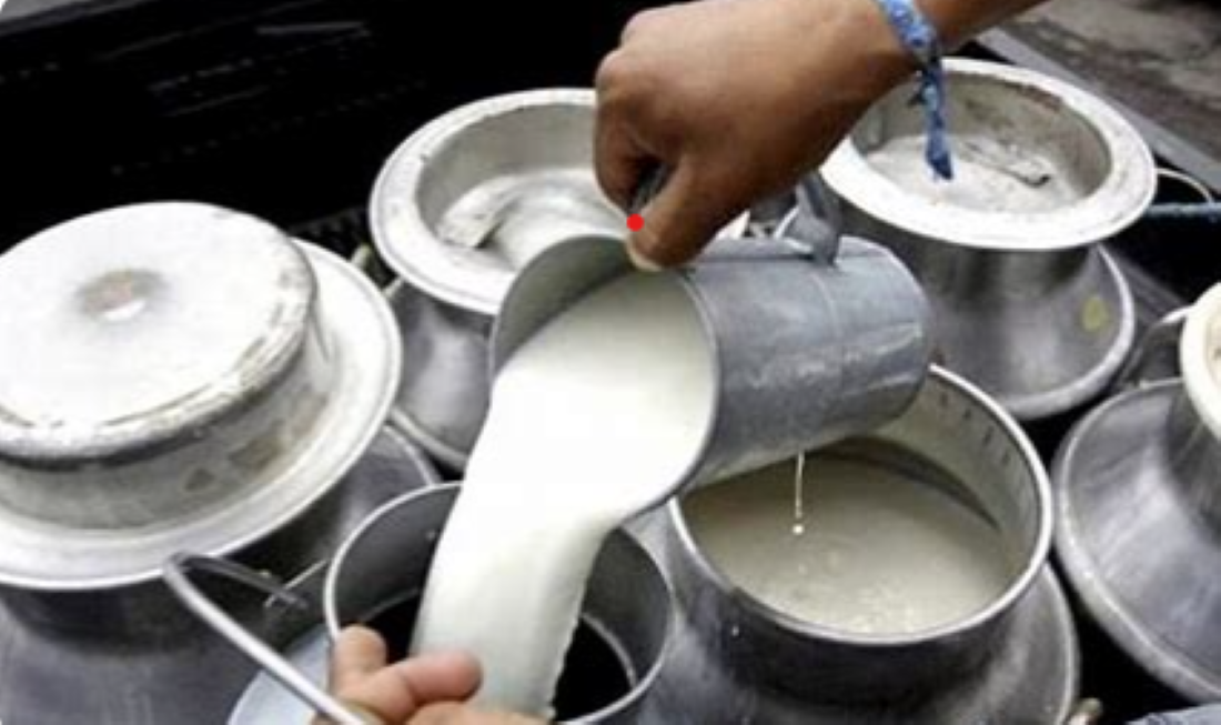 Dairy Association welcomes ban on import of dairy products