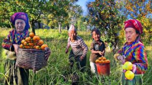 Government declares orange as national fruit