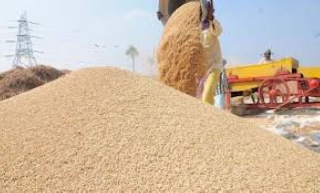 Nepal imported paddy and rice grains worth Rs 20 billion