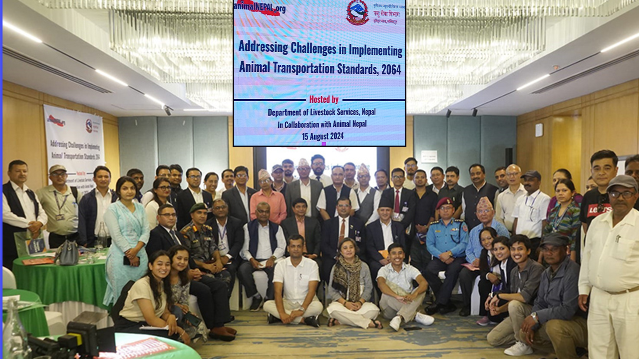 Urgent need for compliance with animal transportation standard through strengthened collaboration, say stakeholders