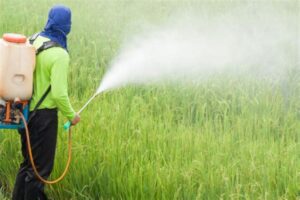 Taskforce formed to take stock of pesticides use