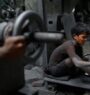 World Day Against Child Labour being marked