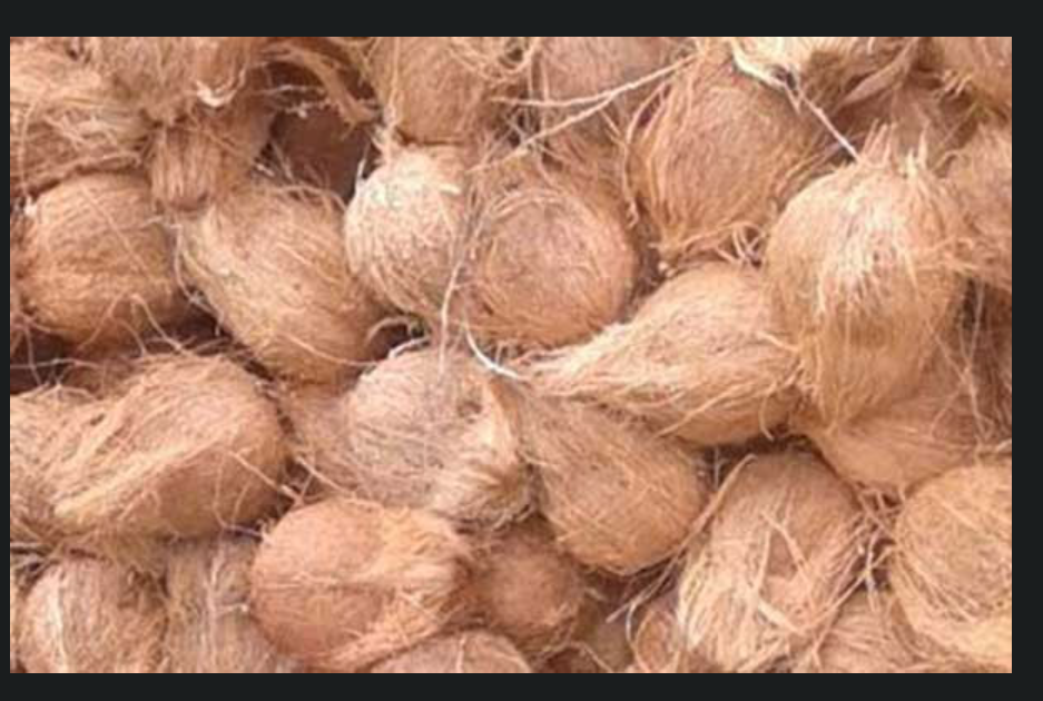 Coconut worth Rs 321 million imported in three months