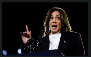 ‘I’m not perfect’, but Trump is a ‘petty tyrant’, says Kamala Harris