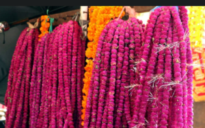 Nepal to export 200,000 garlands of makhamali flowers