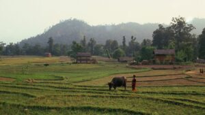 Tourism, agriculture, medicinal herbs economic boosters in Karnali