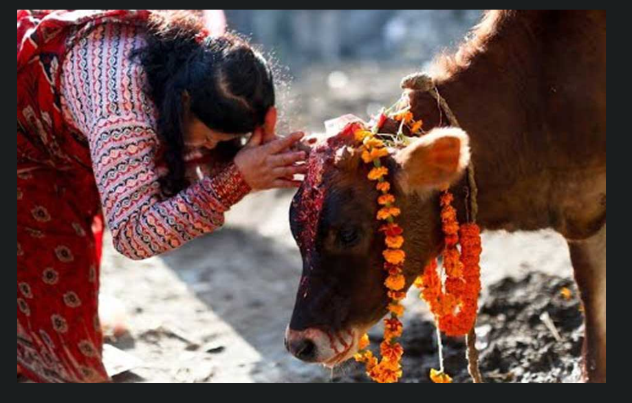 Govardhan Puja and Mha Puja being observed today