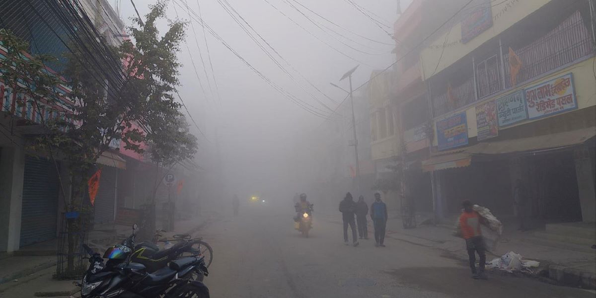 Life in Tarai Madhes affected due to cold wave, dense fog