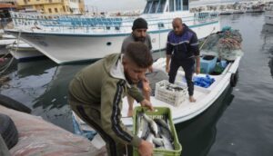 Lebanese fishermen hope cease-fire with Israel means normal life returning