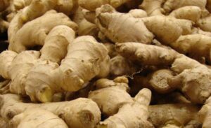 Karnali’s ginger reaches international market