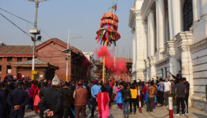 Holi begins with erection of Chir at Basantapur 