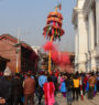 Holi begins with erection of Chir at Basantapur 