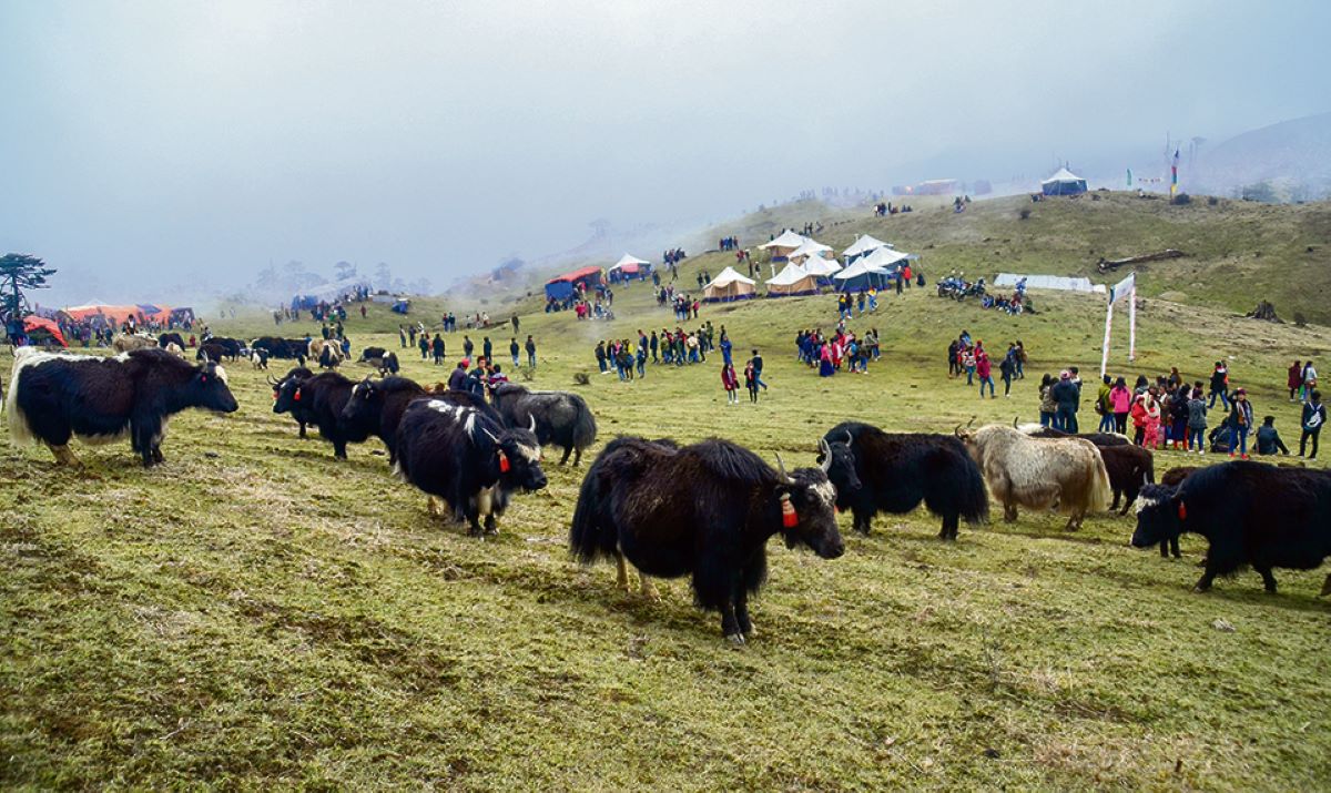 Tourists from India and Bhutan at ‘high-altitude yak festival’
