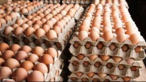 Nepal Layers Poultry Farmers Association increases egg prices
