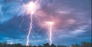Seventeen buffaloes perish in lightning