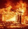 Fire engulfs Tirupati Wood Panel Industry