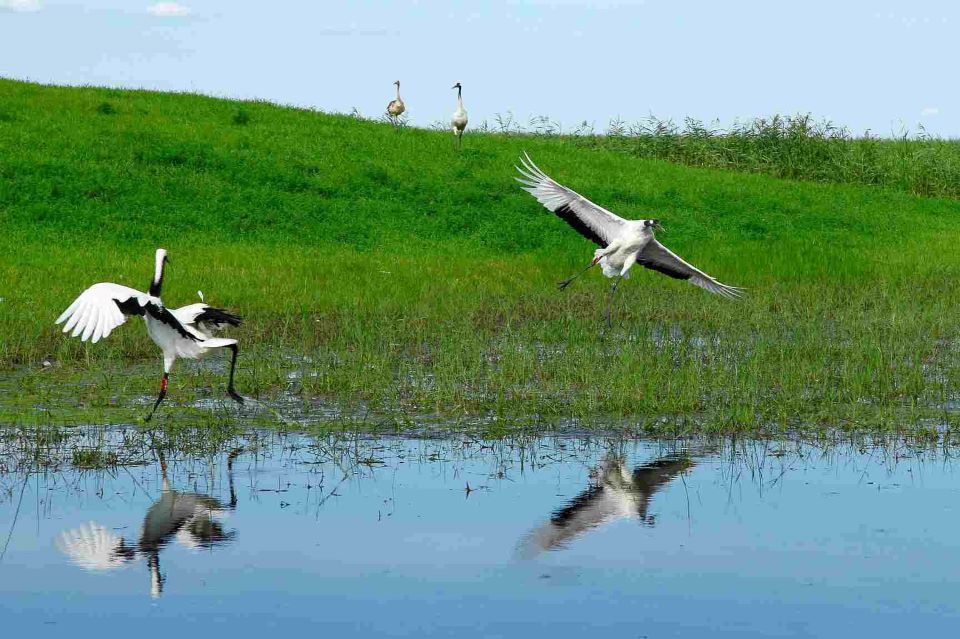 Tourist influx increases at Koshi Tappu wildlife reserve