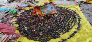 Shaligram Festival organized first time  in Ruru